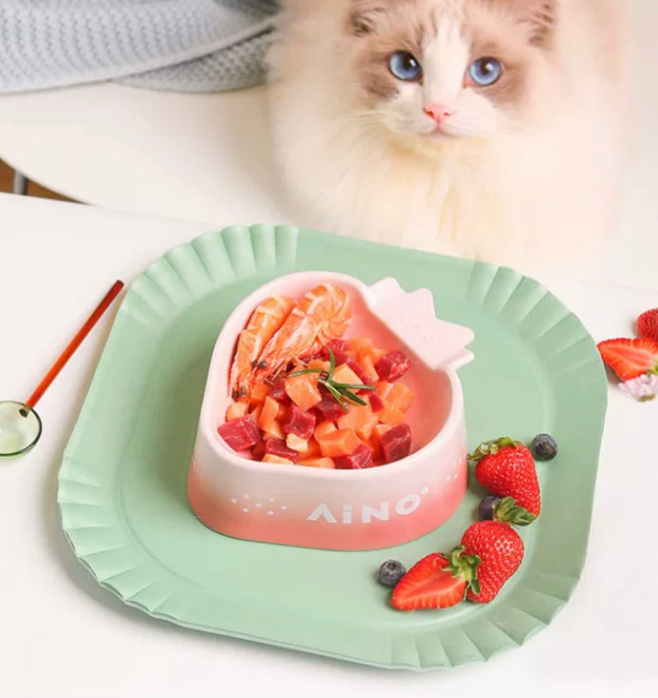 Cute Strawberry Bowl For Cat