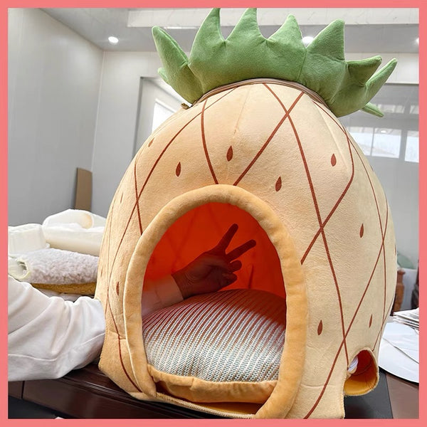 Funny Pineapple Pet House