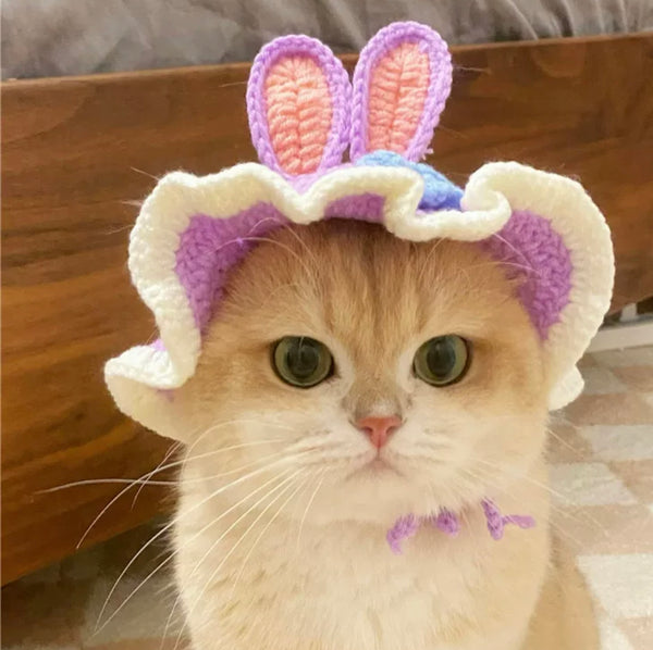 Cute Cartoon Hat For Cat