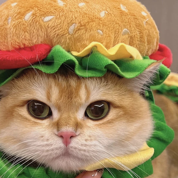 Cute Hamburger Pet Hat