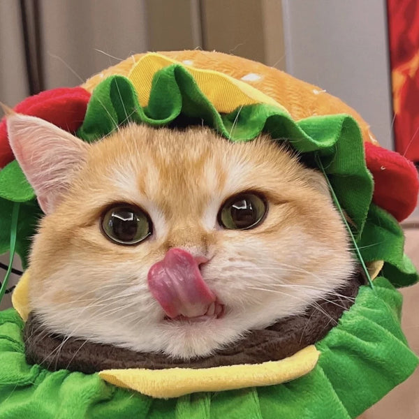 Cute Hamburger Pet Hat