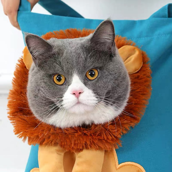 Cute Lion Pet Bag