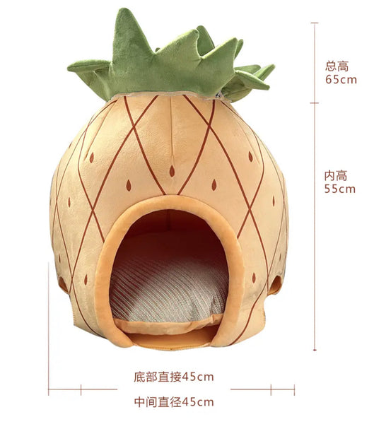 Funny Pineapple Pet House