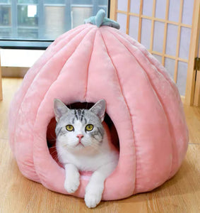 Funny Cat House