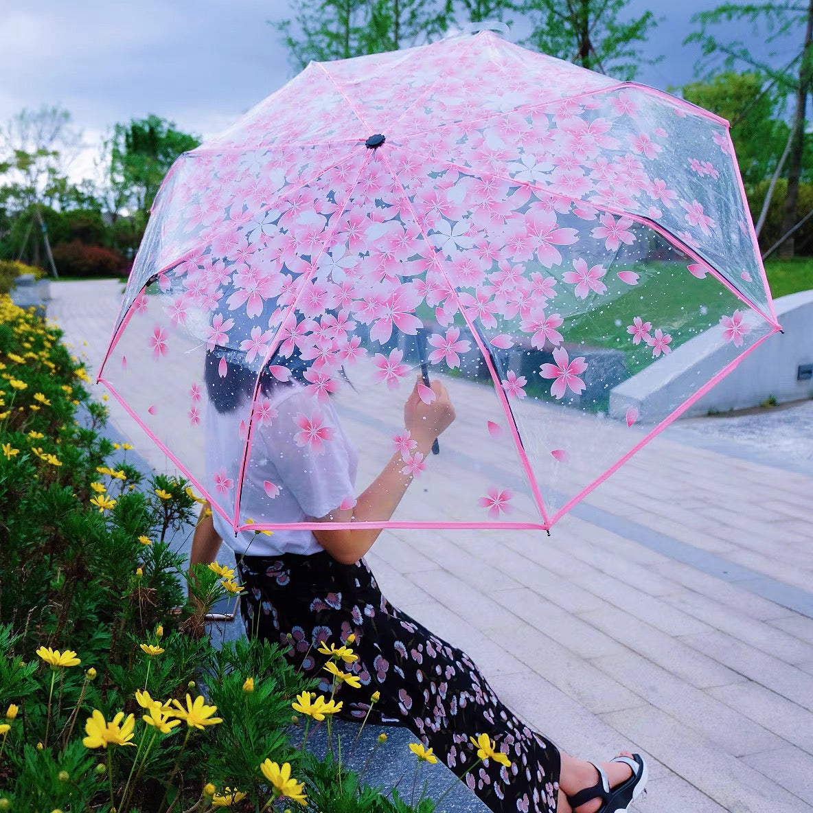 Sakura Umbrella