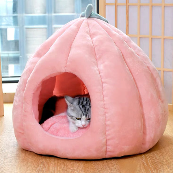 Funny Cat House
