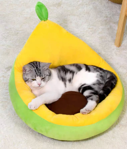 Cute Avocado Cat House