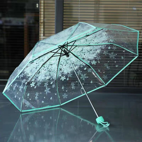Sakura Umbrella